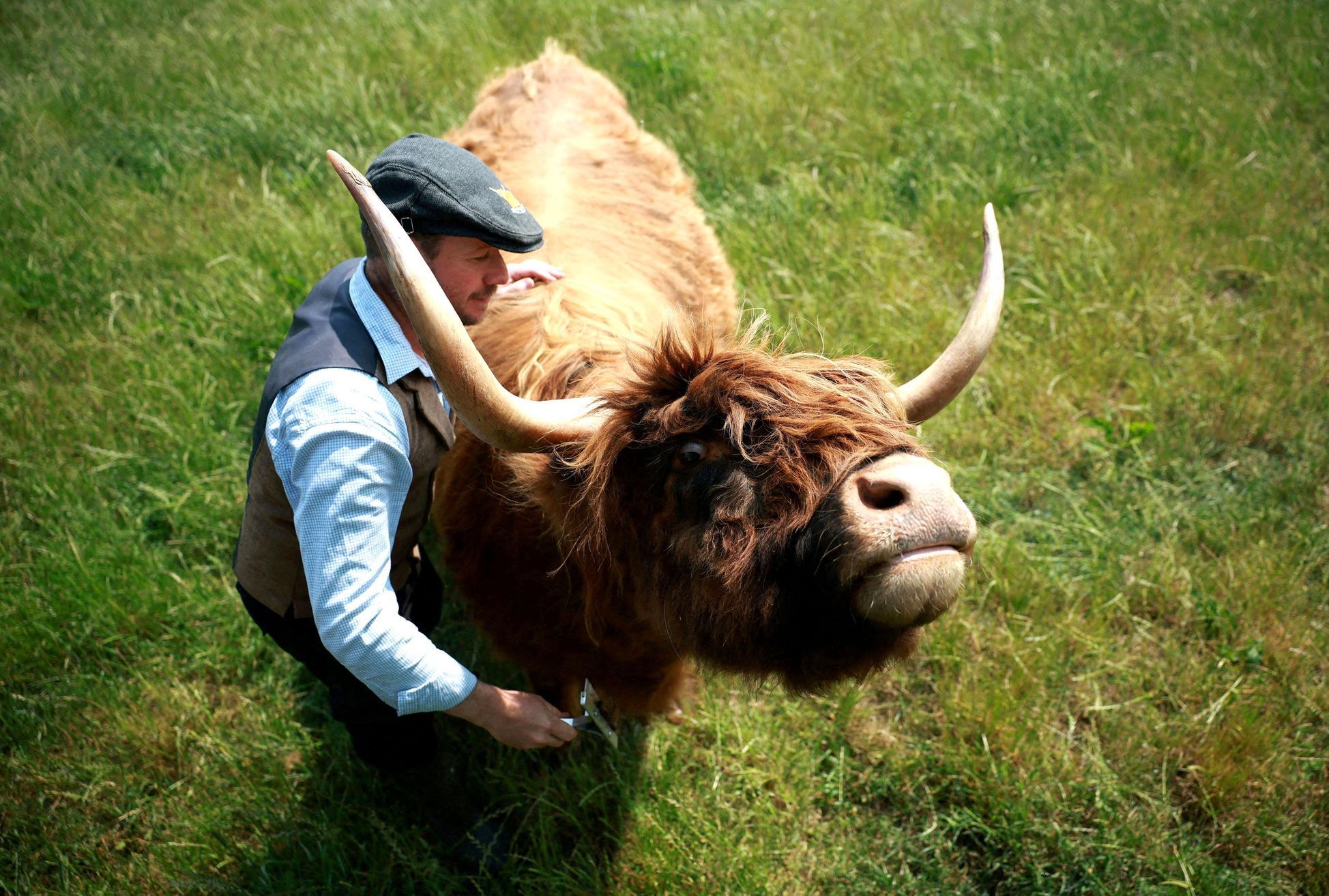 Foto týdne
