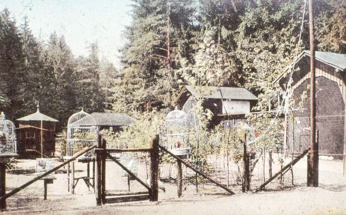 ZOO Liberec slaví 120 let od svého vzniku. Podívejte se na historické momenty a vývoj nejstarší zoologické zahrady v českých zemích od jejího založení v roce 1904.