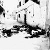 Jednorázové užití / Fotogalerie / Napjatá historie Izraelců a Arabů / 10 / 10_Izraelská invaze do libanonu 1982