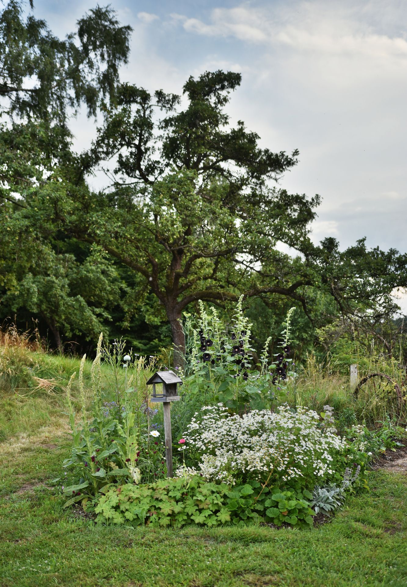 domeček na kopci, dům, rekonstrukce, zahrada, příběh