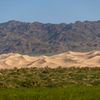 mongolsko