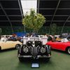 Bonhams aukce Zoute Sale 2023
