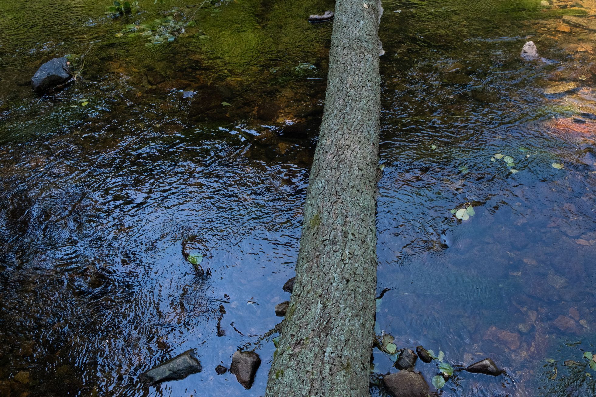 Údolí řeky Bobrovky