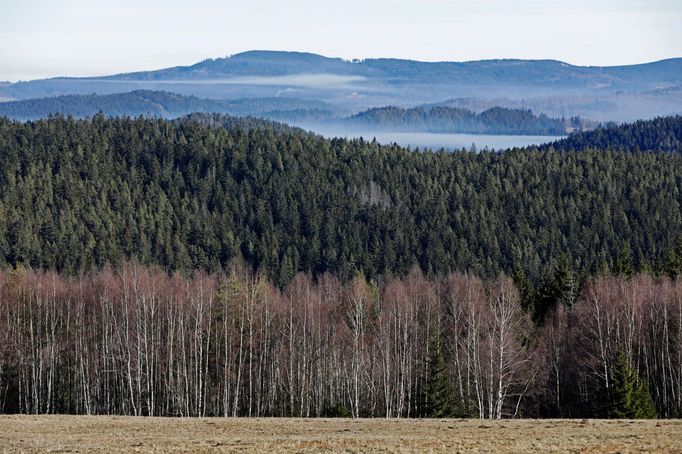 Předpřipraveno k editaci - komerční projekt spolupráce mezi ČEZ a Economia. 6/8 fotogalerií.