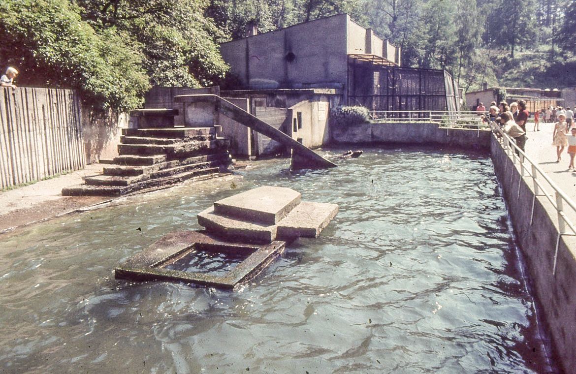 ZOO Liberec, zoo, zoologická zahrada, Liberec, historie, výročí, Domácí