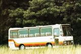 Luxusnějších midibusů Ikarus 212 s motorem MAN vzniklo jen několik desítek. Dostupné byly jen na exportních trzích.