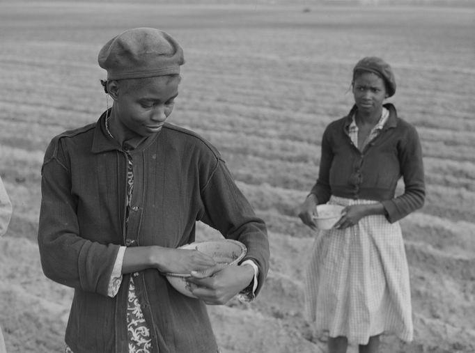 Setí kukuřice na plantáži v Jižní Karolíně, 1941.