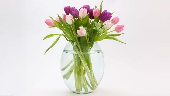 Ke květině vždy darujte i výživu do vázy, kytice pak vydrží déle hezká