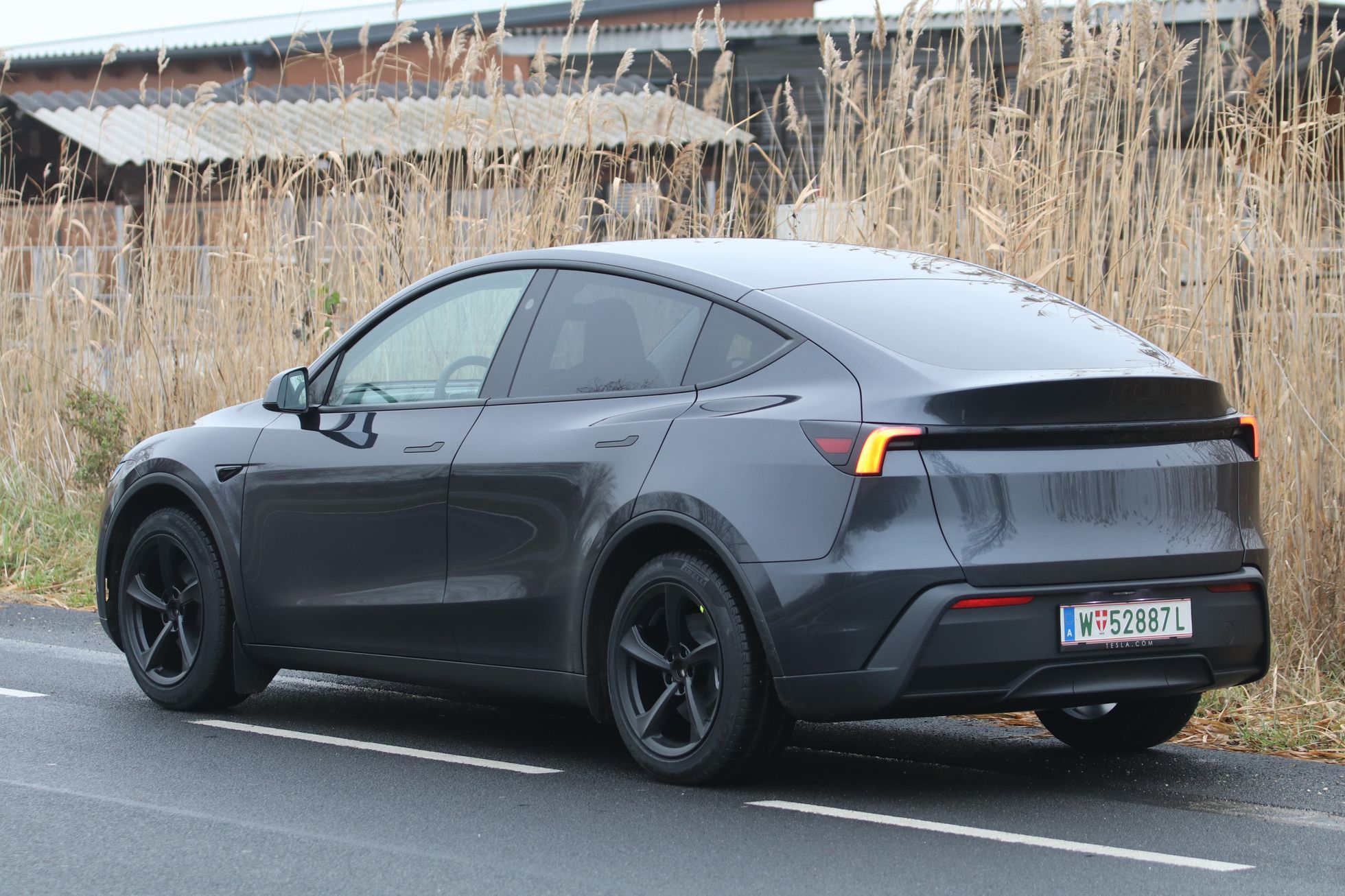 Tesla Model Y Standard