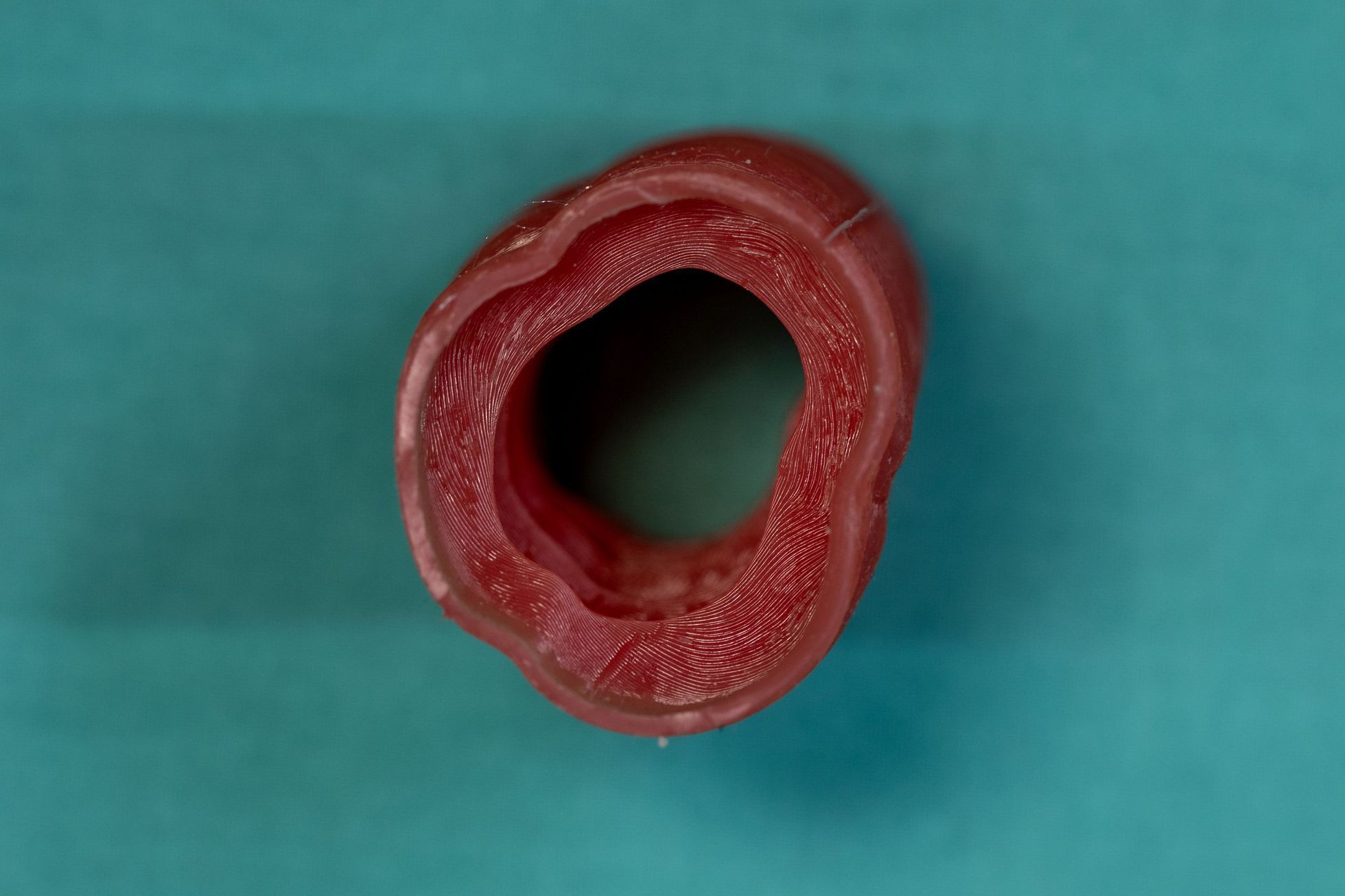 3D tisk lidské tělo