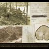 Secret Files: Tunguska