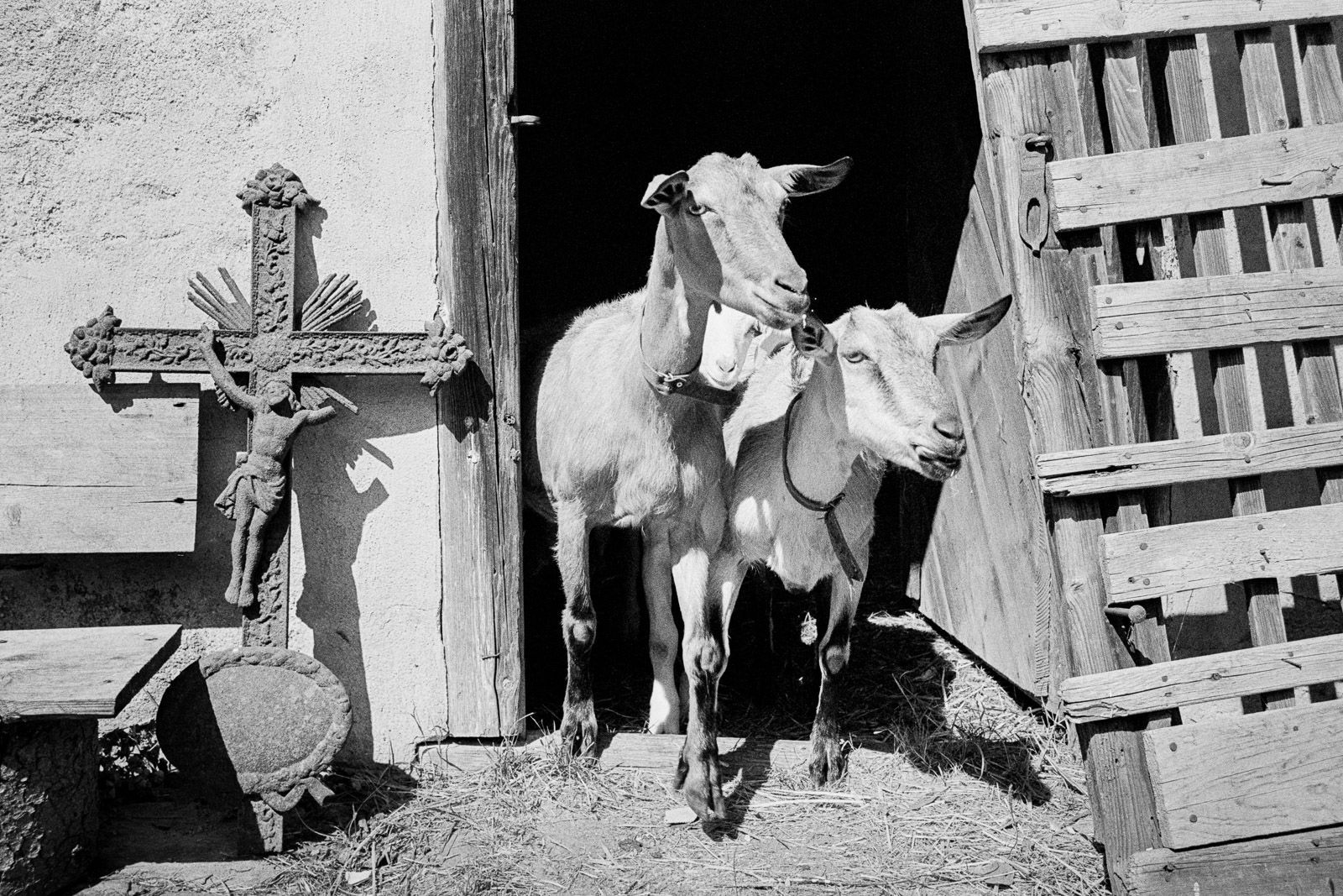 Dan Šperl - Všednosti (ukázky ze stejnojmenné výstavy fotografií)
