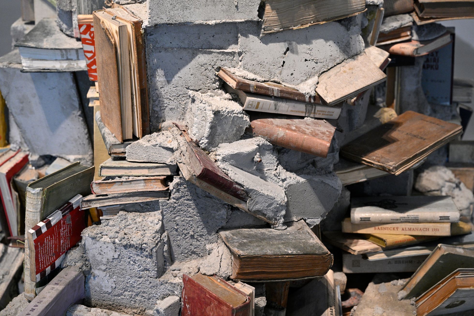 DOX, Fall, festival, 2023