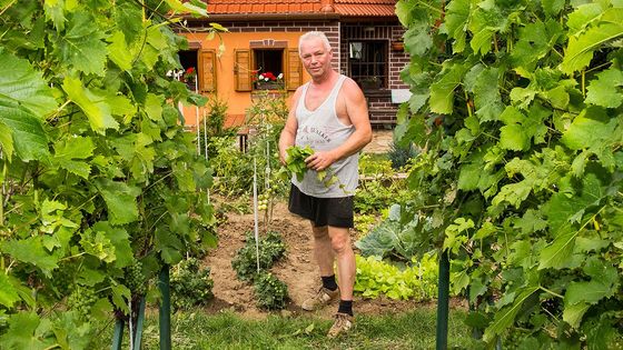 Typicky česká vášeň. Zahrádkáři a jejich kouzlo objektivem Davida Macháče