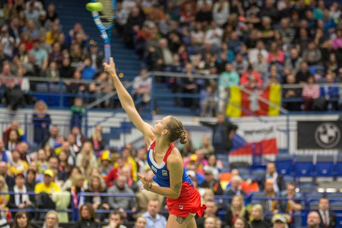 Plíšková vs. Buzarnescuová, Fed Cup Česko vs. Rumunsko