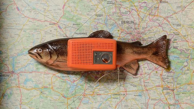 Wolf Vostell (1932-1998): Fish with Radio, 1980, mixed media, 53 × 48 × 9,5 cm.