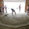 Japonští sumo na "letním táboře"