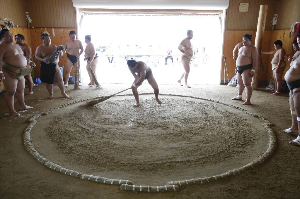 Japonští sumo na "letním táboře"