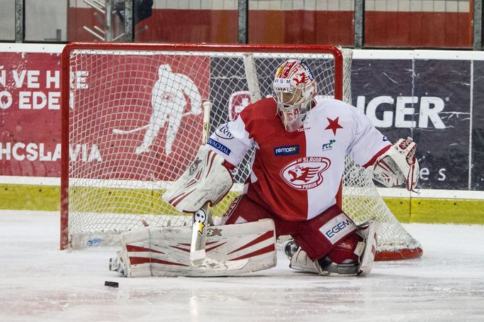 HC Slavia Praha - HC Rytíři Kladno (Hylák)