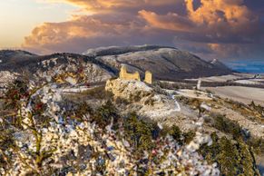 Obrazem: I ve "středomořské" krajině Pálavy sněží. Objevte krásy vzácné přírody