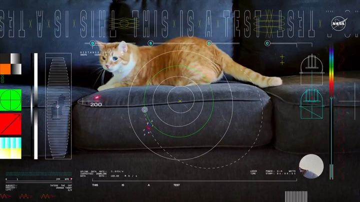 Sonda Psyche poslala laserem na Zemi video s kočkou. NASA si tak testuje technologii
