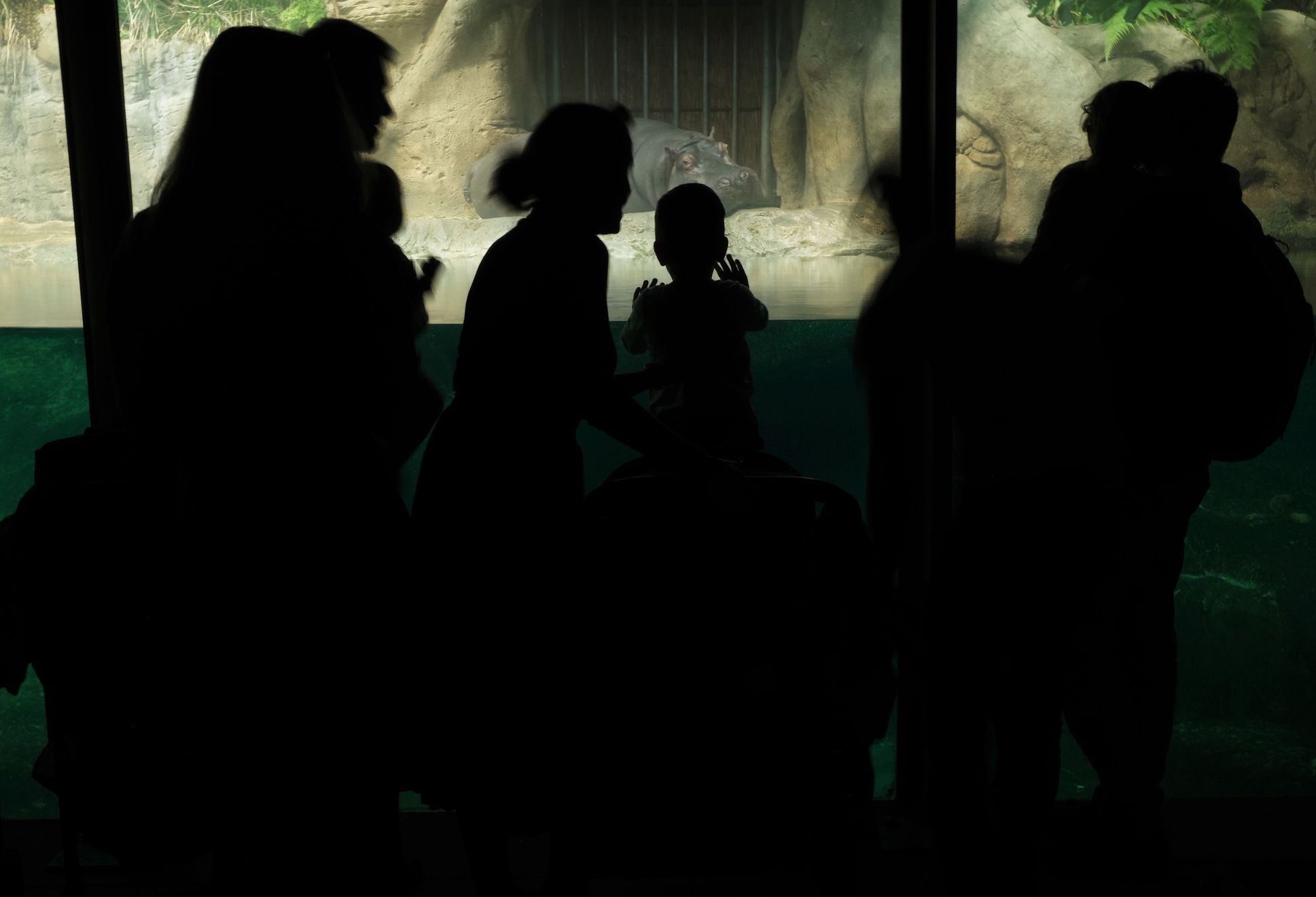 ZOO zahájení sezóny