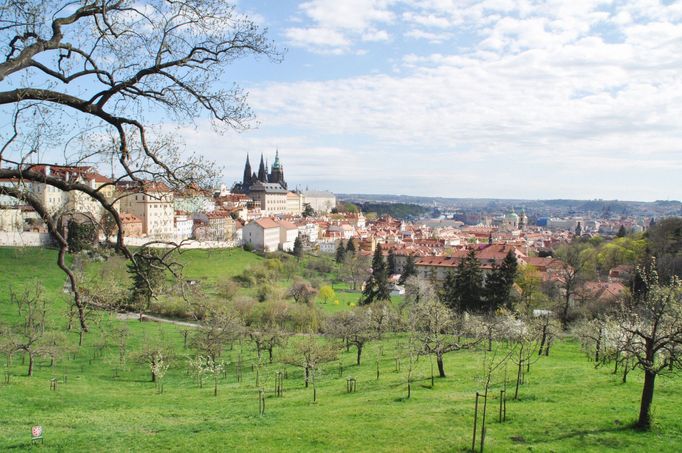 Petřínské sady v Praze 1