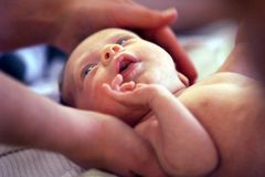 V Motole se narodilo první dítě z transplantované dělohy v Česku