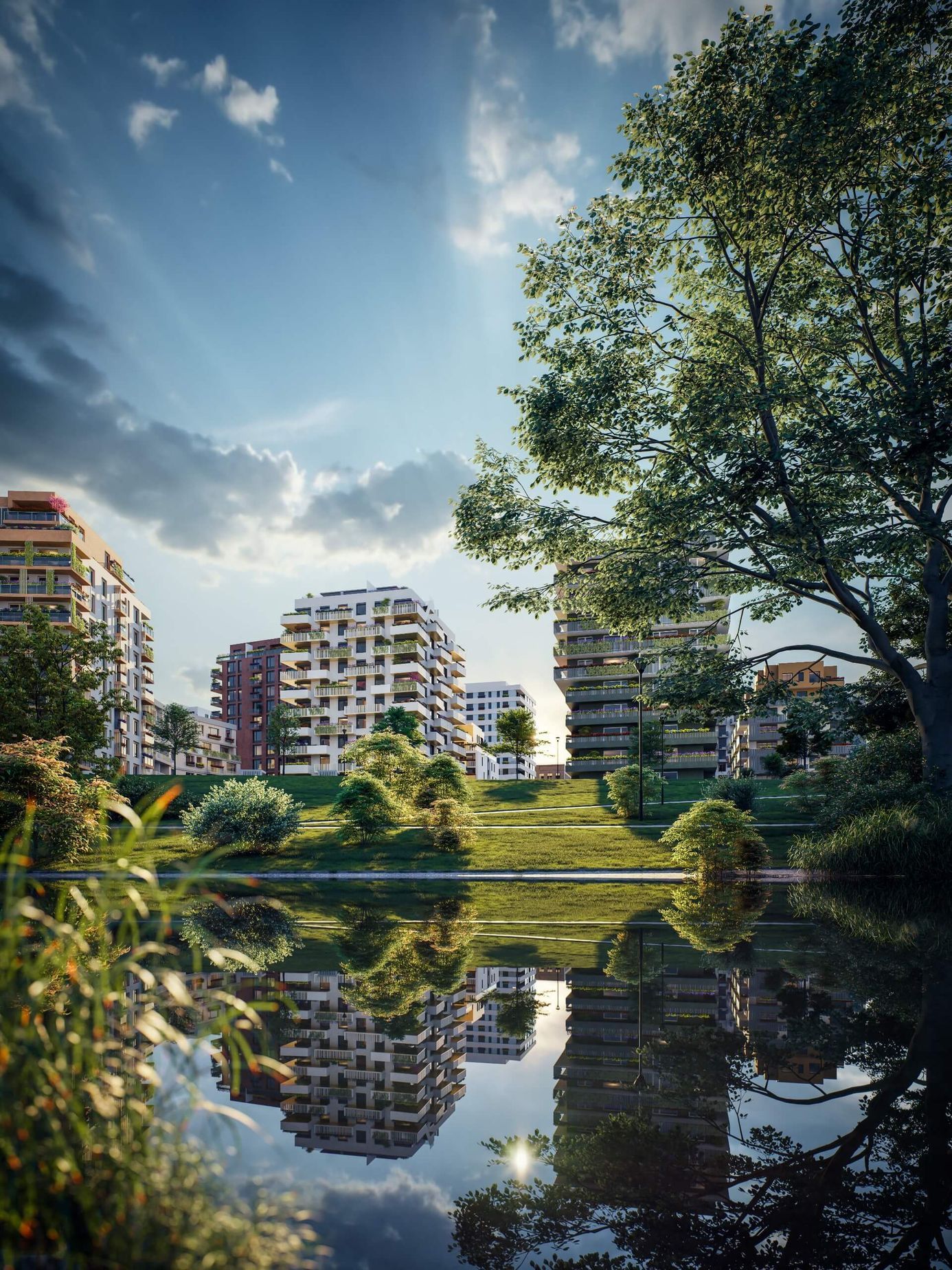 nový rohan, stavba, karlín