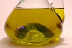 Pozor na olivový olej a ryby, varuje Brusel