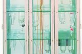 Damien Hirst: The Martyrdom of Saint Peter/Mučednictví Sv. Petra, 2003 (poniklovaná chirurgická ocel, skleněný kabinet s lékárničkami a různé objekty, 180 x 92,5 x 26,2 cm)