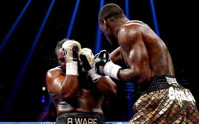 Deontay Wilder vs. Bermane Stiverne