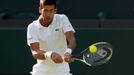 Wimbledon 2018: Novak Djokovič