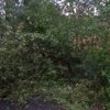 Bouřka lámala stromy a trhala střechy