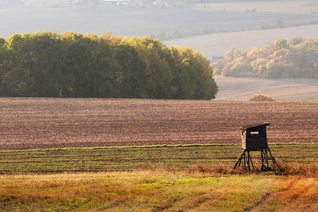 Podzim - krajina - České středohoří