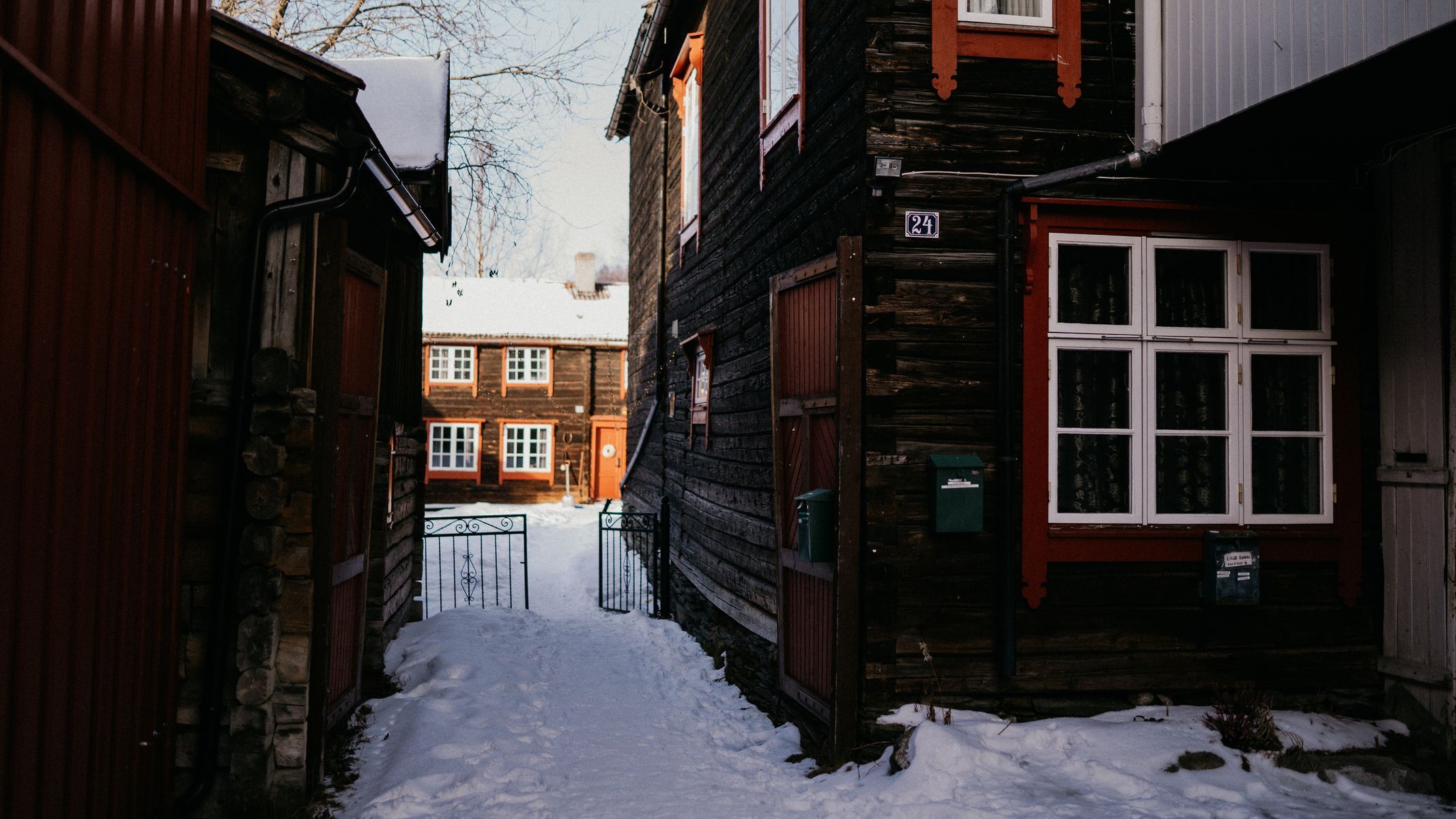 femundlopet psí spřežení mushing norsko