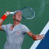 Berdych na tenisovém US Open 2013
