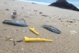 Hračky potopené před 17 lety zaplavují britské pláže.
