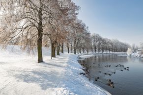 Statní ochránci dávných cest. Vyberte nejkrásnější alej v Česku