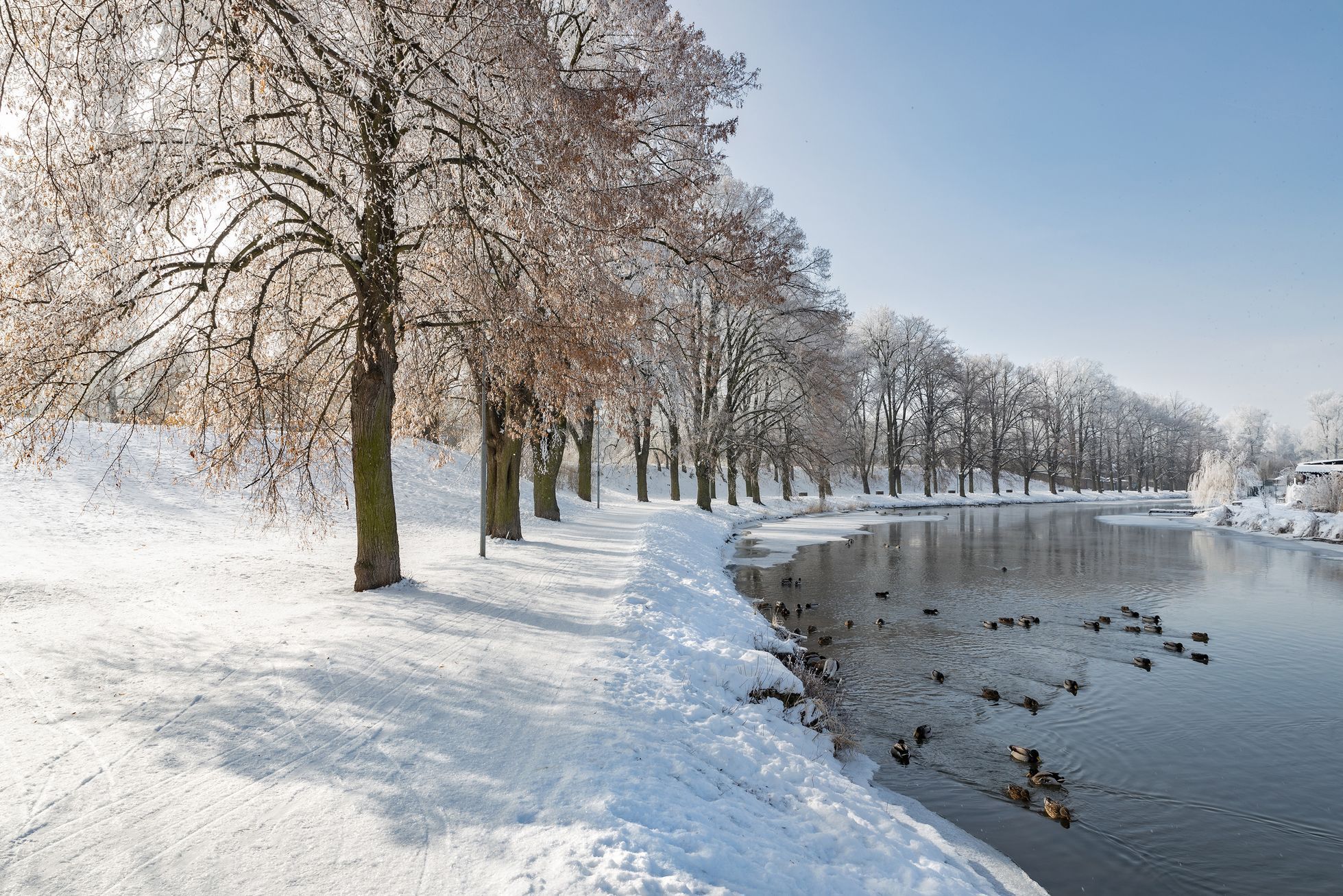 Soutěžní snímky Alej roku 2022