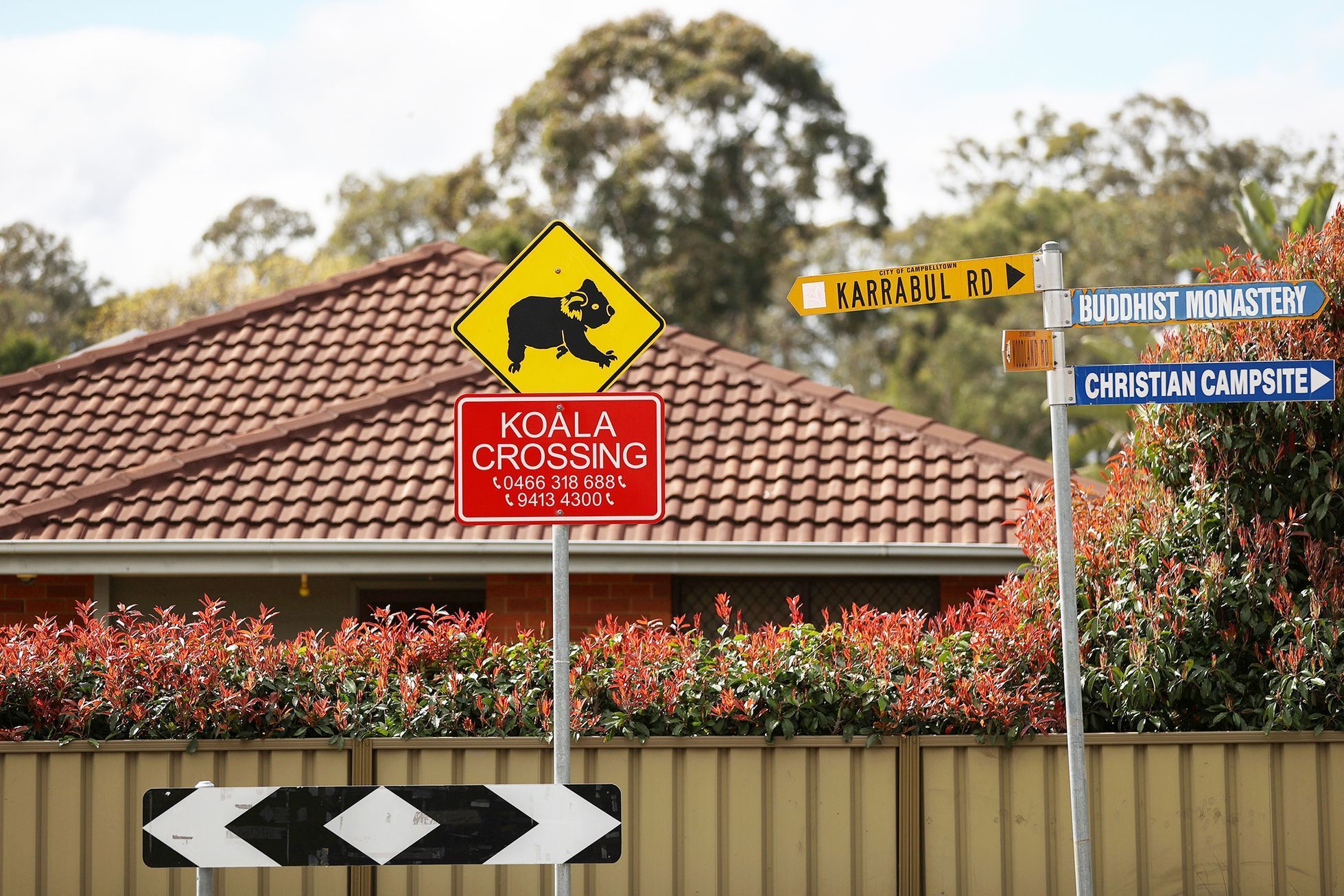 Jednorázové užití / Fotogalerie / Spása koal, která vám zachrání den