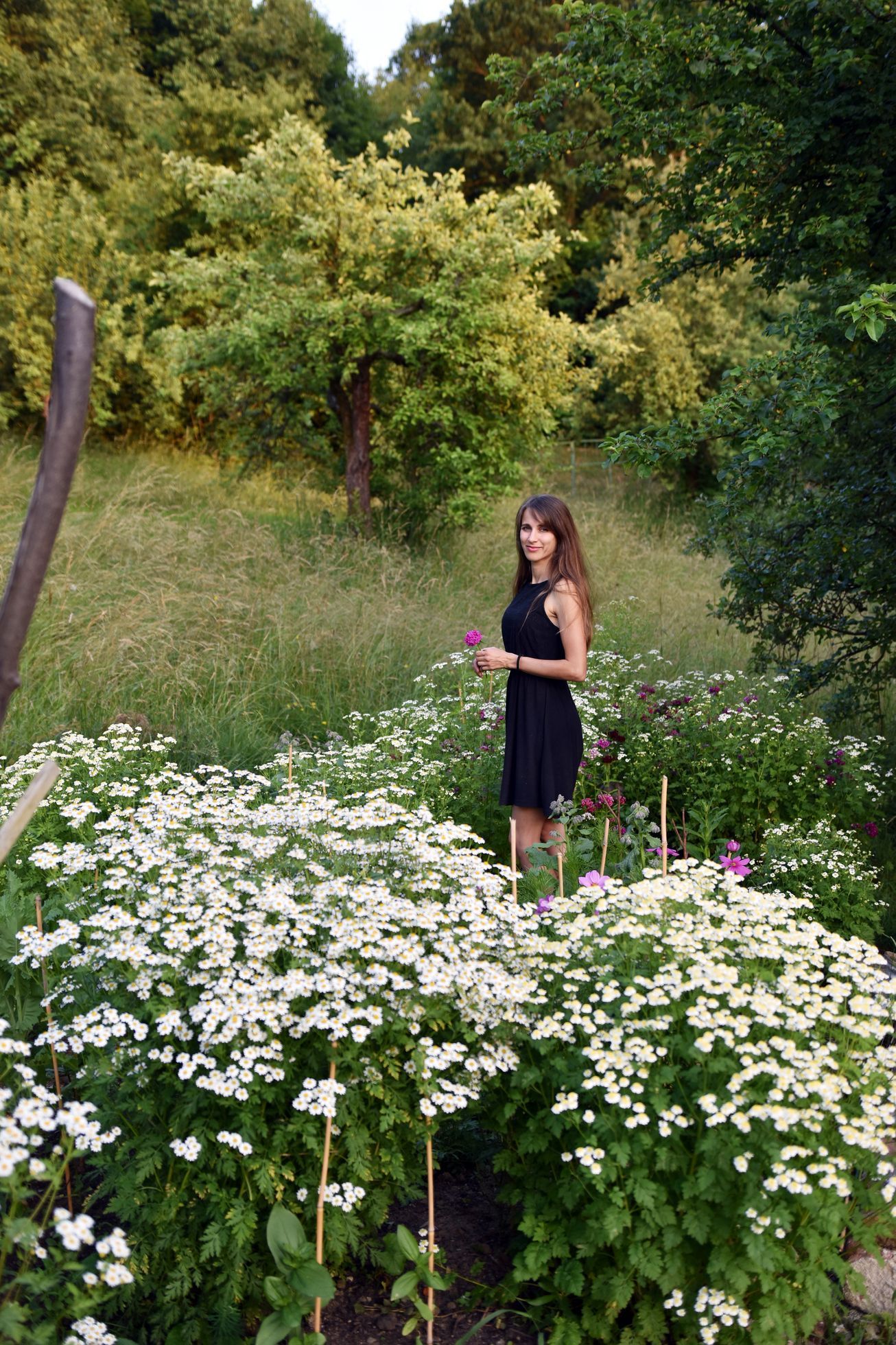 domeček na kopci, dům, rekonstrukce, zahrada, příběh