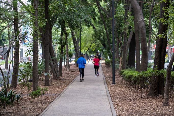 Avenida Ámsterdam, Mexico City