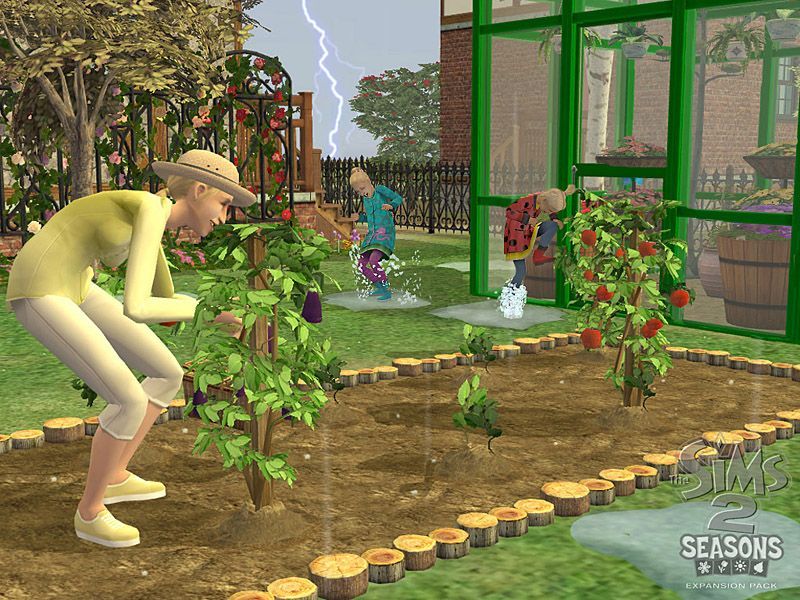 The Sims 2: Seasons