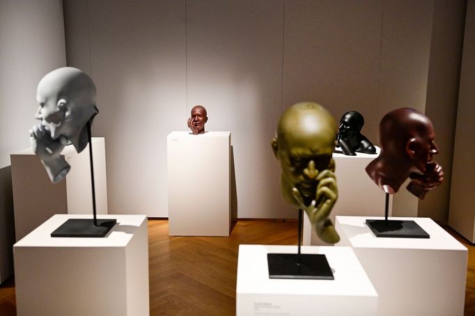 Snímek z výstavy děl Martina Janeckého.