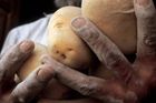 Po obilí i brambory. Potravinová krize začíná u Putina