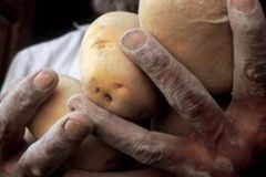 Po obilí i brambory. Potravinová krize začíná u Putina