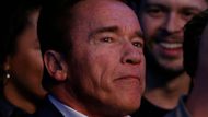 Velký duel si v Londýně nenechal ujít ani slavný "Terminátor" a bývalý kalifornský guvernér Arnold Schwarzenegger.