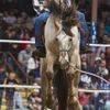Obrazem: Vězeňské rodeo v USA