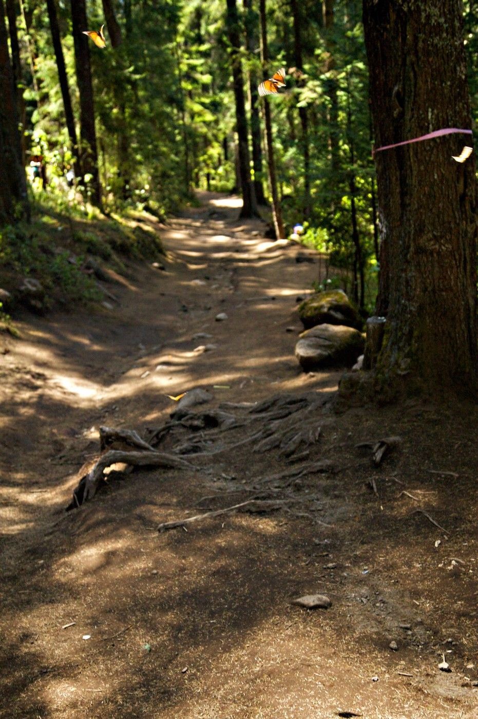 10 cestovatelských tipů - NEPUBLIKOVAT v článcích